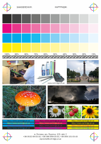 test_full